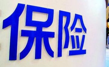 干保险的心得体会精选8篇