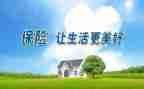保险师工作计划模板7篇
