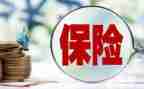 保险师工作计划精选5篇