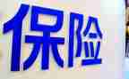 干保险的心得体会精选8篇