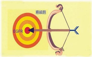 靶向药调研报告7篇
