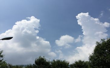 家乡的变化500字作文精选5篇