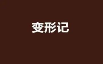 区角变形记心得体会5篇