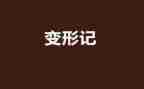 区角变形记心得体会5篇