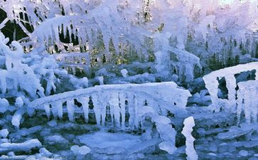 同上一堂冰雪大课心得体会8篇