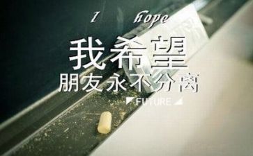 会计毕业生工作计划6篇