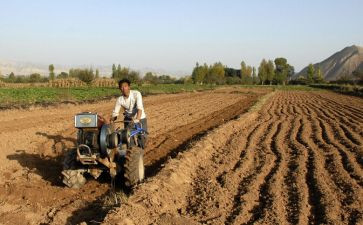 播种与收获的作文7篇