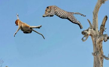 捕捉幸福满分作文8篇