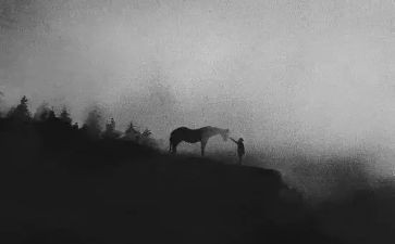 不一样的春节优秀作文最新7篇