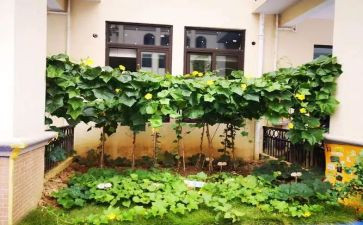 收购蔬菜合同5篇