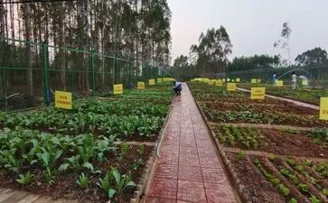 买卖蔬菜合同模板7篇