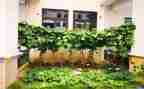 学做菜优秀作文最新7篇