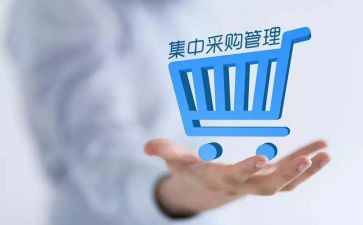 优秀采购工作计划6篇