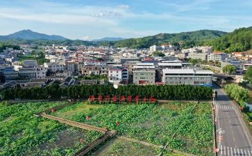 才溪调研报告优质8篇