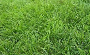 烟草上半年工作总结7篇