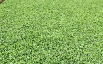 烟草客户经理个人总结7篇