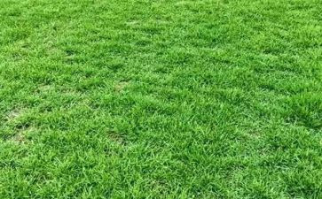 本草的心得体会5篇