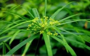 草原上教案最新5篇