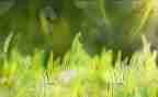 草合同模板最新5篇