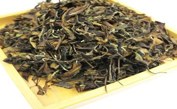茶文化心得体会7篇