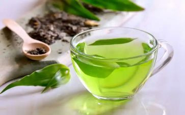 茶经心得体会300字6篇