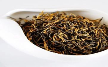 关于茶的教案精选8篇