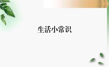 常识教研工作计划6篇