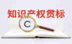 知识产权宣传工作工作总结7篇