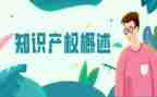 关于知识产权的心得体会7篇