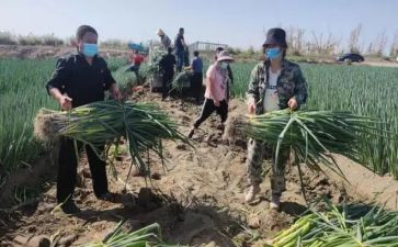 房产销售实习报告7篇