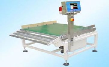 大班秤的教案反思最新5篇