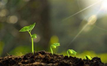 专业成长培训心得体会5篇