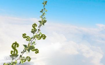 成长感悟作文7篇