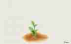 我在中成长作文800字参考5篇