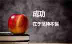 我收获的成功作文5篇