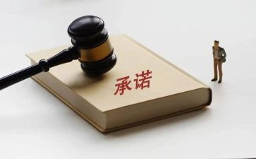 品质承诺书8篇