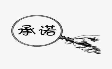 对承诺书的总结5篇