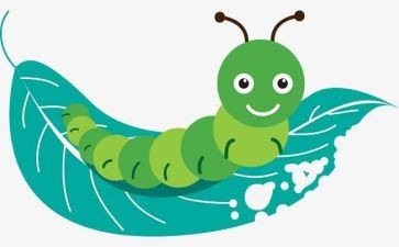 读昆虫记读后感模板8篇