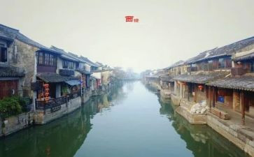 卖橘子闯了祸读后感7篇