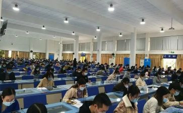 小学初级职称述职报告5篇