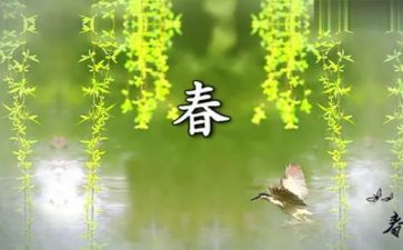 读《春节》心得体会精选6篇