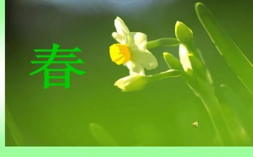 致青春作文800字参考6篇