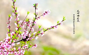 我的春节生活作文5篇