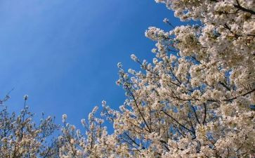 青春期的作文6篇