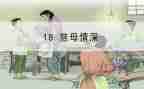 《慈母情深》心得体会6篇