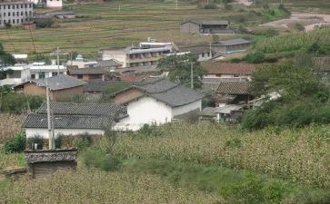 对村级调研报告6篇