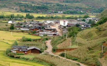 村主任年终工作述职报告8篇