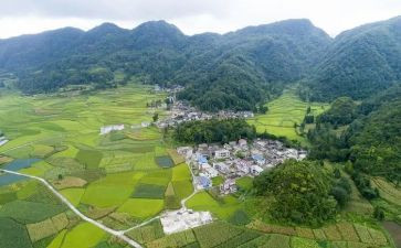 农村精准扶贫工作计划5篇