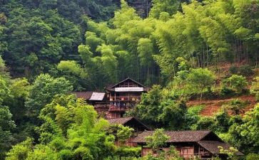 村f支部工作计划优秀5篇