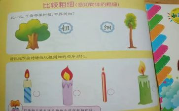 中班数学比较粗细教案6篇